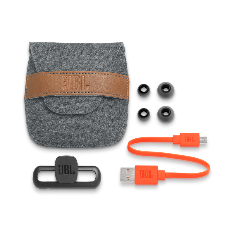 JBL Duet Mini
